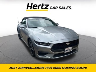 Used 2024 Ford Mustang Premium image 1