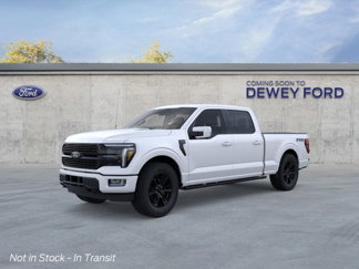 New 2025 Ford F150 Platinum image 1