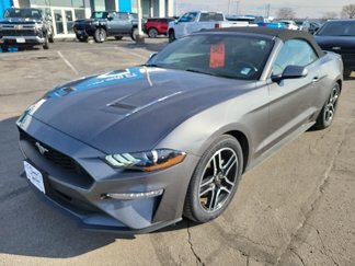 Used 2023 Ford Mustang Premium image 1