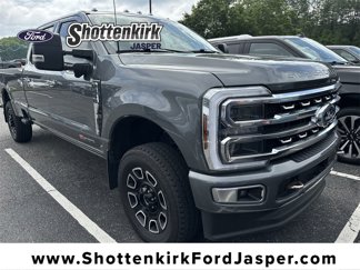Used 2024 Ford F250 Platinum image 1