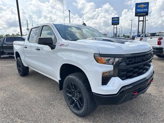 New 2026 Chevrolet Silverado 1500 Custom Trail Boss image 1