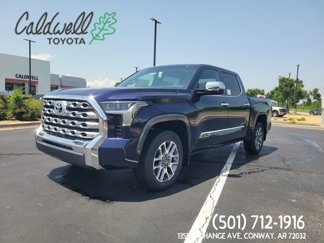 New 2025 Toyota Tundra 1794 Edition image 1