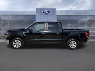 Used 2023 Ford F150 XLT video 2