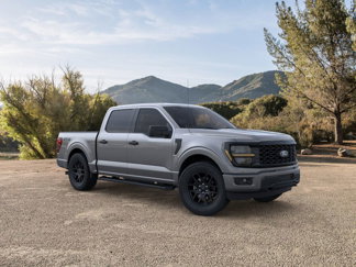 New 2025 Ford F150 STX w/ STX Black Appearance Package image 1