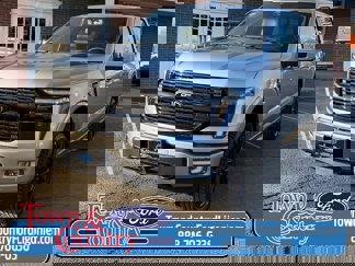 New 2025 Ford F150 Platinum image 1