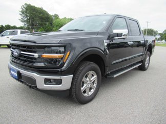 New 2025 Ford F150 XLT w/ Equipment Group 302A MID image 1