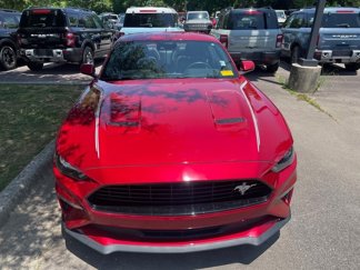 Used 2023 Ford Mustang Premium w/ Equipment Group 201A image 1