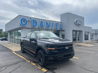 New 2025 Ford F150 XLT image 1