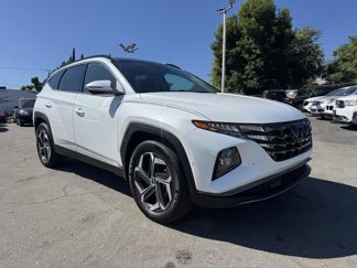 Used 2024 Hyundai Tucson Limited image 1