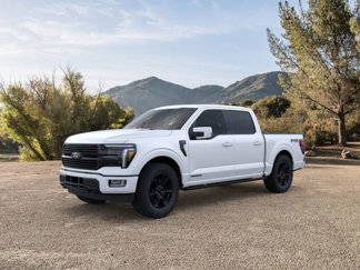 New 2025 Ford F150 Platinum w/ Equipment Group 702A High image 1