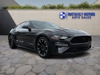 Used 2022 Ford Mustang GT w/ Equipment Group 301A image 1