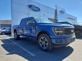 New 2025 Ford F150 STX image 1