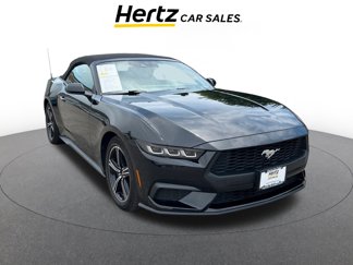 Used 2024 Ford Mustang Premium image 1