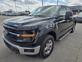 New 2025 Ford F150 XLT w/ Equipment Group 301A Standard image 1