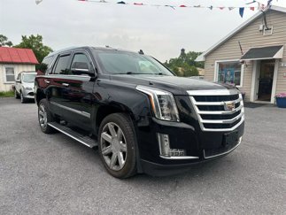 Used 2016 Cadillac Escalade Premium image 1