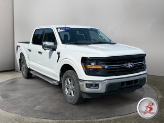 Used 2024 Ford F150 XLT w/ Equipment Group 302A MID image 1