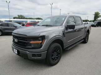 New 2025 Ford F150 XLT image 1
