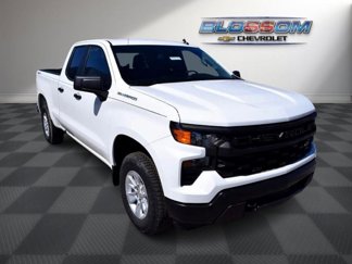 New 2025 Chevrolet Silverado 1500 W/T w/ WT Value Package image 1