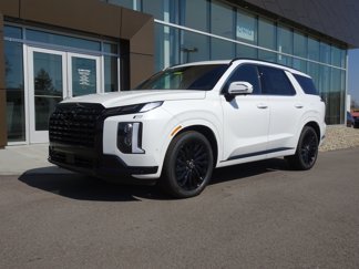 New 2025 Hyundai Palisade Calligraphy image 1