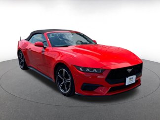 Used 2024 Ford Mustang Premium image 1