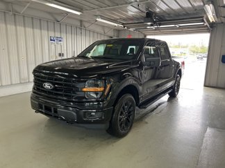 New 2025 Ford F150 XLT w/ Equipment Group 303A High image 1