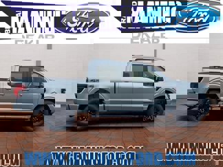 New 2025 Ford F150 XLT w/ Equipment Group 302A MID image 1