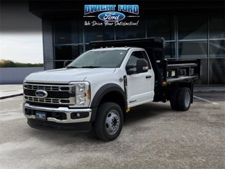 New 2025 Ford F450 XL w/ XL Chrome Package image 1