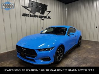 Used 2024 Ford Mustang Premium image 1
