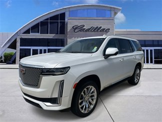 Used 2021 Cadillac Escalade Premium Luxury Platinum image 1