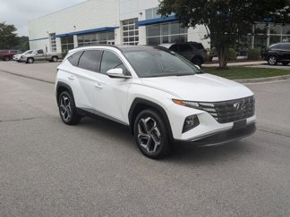 Used 2023 Hyundai Tucson Limited image 1