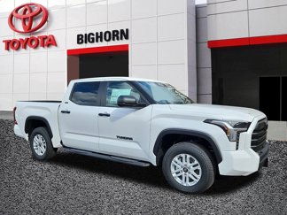New 2025 Toyota Tundra SR5 image 1