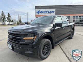 New 2025 Ford F150 XLT w/ Equipment Group 302A MID image 1
