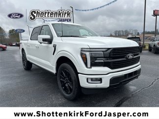 New 2025 Ford F150 Platinum image 1