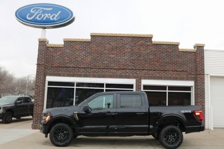 New 2025 Ford F150 STX image 1
