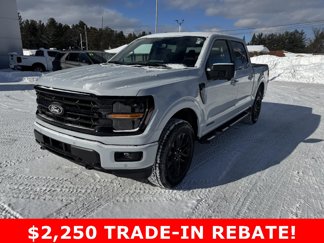 New 2025 Ford F150 XLT w/ Equipment Group 302A MID image 1