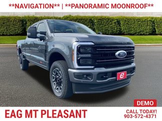 New 2025 Ford F250 Platinum image 1
