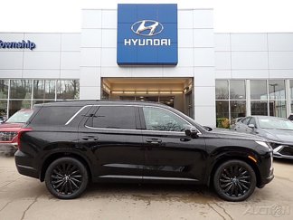 New 2025 Hyundai Palisade Calligraphy image 1