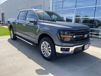 New 2024 Ford F150 XLT w/ Equipment Group 302A MID image 1