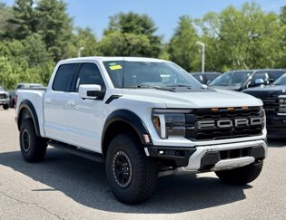 New 2025 Ford F150 Raptor image 1
