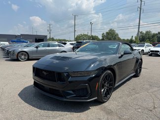 Used 2024 Ford Mustang GT Premium w/ Mustang Nite Pony Package image 1
