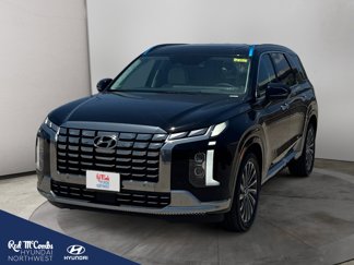 New 2025 Hyundai Palisade Calligraphy image 1