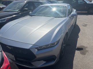 Used 2024 Ford Mustang Premium image 1