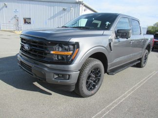 New 2025 Ford F150 XLT image 1