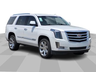 Used 2019 Cadillac Escalade Luxury image 1