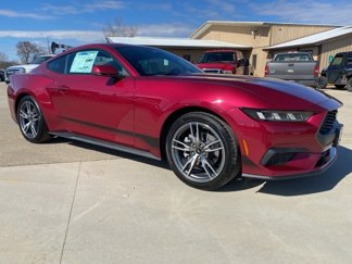 New 2025 Ford Mustang Premium image 1