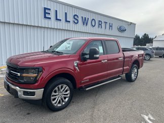 New 2025 Ford F150 XLT w/ Equipment Group 302A MID image 1