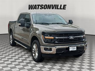 New 2025 Ford F150 XLT w/ Equipment Group 302A MID image 1