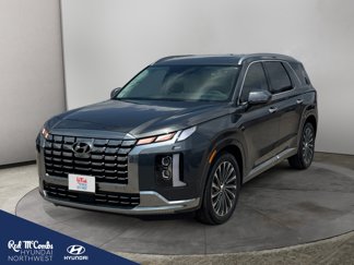 New 2025 Hyundai Palisade Calligraphy image 1