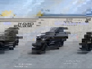 New 2025 Ford F150 Platinum image 1