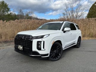 New 2025 Hyundai Palisade Calligraphy image 1